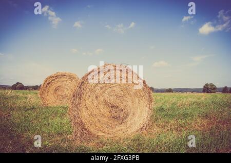 Vintage-Landschaft mit Strohballen auf Stoppeln. Landwirtschaftliche oder ländliche Landschaft im Sommer in Polen fotografiert. Stockfoto