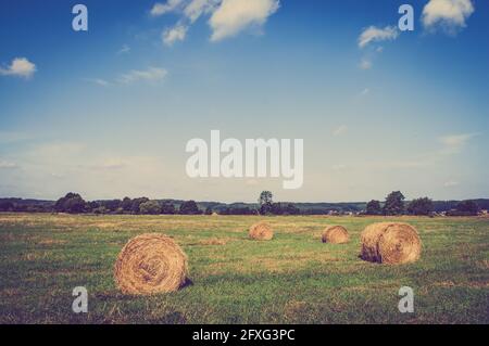 Vintage-Landschaft mit Strohballen auf Stoppeln. Landwirtschaftliche oder ländliche Landschaft im Sommer in Polen fotografiert. Stockfoto