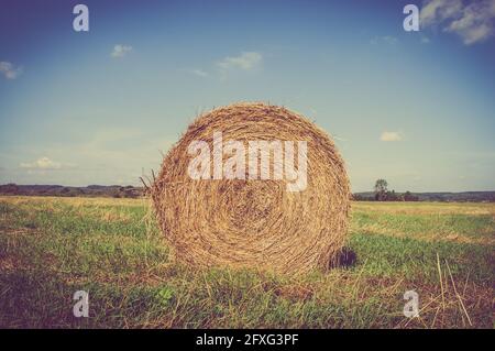 Vintage-Landschaft mit Strohballen auf Stoppeln. Landwirtschaftliche oder ländliche Landschaft im Sommer in Polen fotografiert. Stockfoto