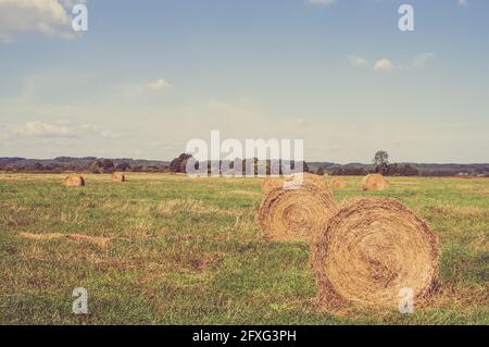 Vintage-Landschaft mit Strohballen auf Stoppeln. Landwirtschaftliche oder ländliche Landschaft im Sommer in Polen fotografiert. Stockfoto