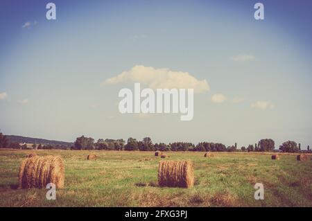 Vintage-Landschaft mit Strohballen auf Stoppeln. Landwirtschaftliche oder ländliche Landschaft im Sommer in Polen fotografiert. Stockfoto