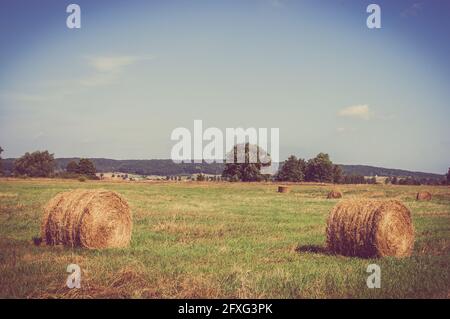 Vintage-Landschaft mit Strohballen auf Stoppeln. Landwirtschaftliche oder ländliche Landschaft im Sommer in Polen fotografiert. Stockfoto