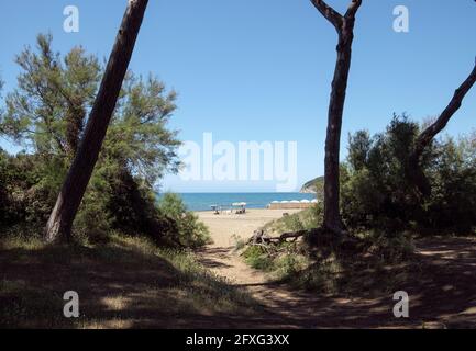 Baratti Strand in der Nähe von Piombino und Livorno während der Sommersaison, Menschen unter der Sonne, Toskana Italien Stockfoto