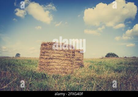 Vintage-Landschaft mit Strohballen auf Stoppeln. Landwirtschaftliche oder ländliche Landschaft im Sommer in Polen fotografiert. Stockfoto