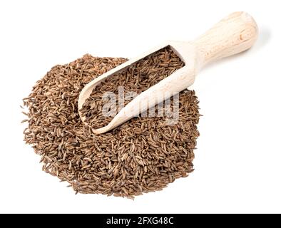 Holzlöffel auf Haufen Kümmel Früchte auf weißem Hintergrund Stockfoto