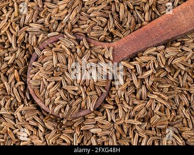 Holzlöffel auf Haufen Kümmel Früchte Nahaufnahme Stockfoto