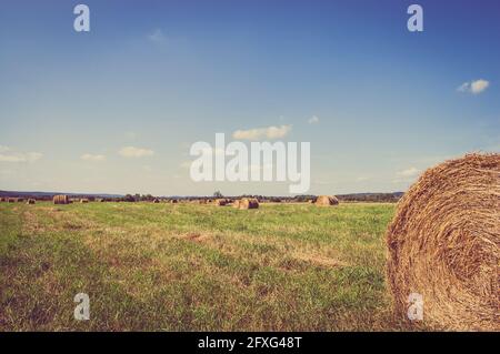 Vintage-Landschaft mit Strohballen auf Stoppeln. Landwirtschaftliche oder ländliche Landschaft im Sommer in Polen fotografiert. Stockfoto