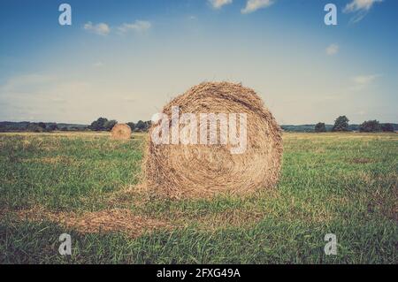 Vintage-Landschaft mit Strohballen auf Stoppeln. Landwirtschaftliche oder ländliche Landschaft im Sommer in Polen fotografiert. Stockfoto