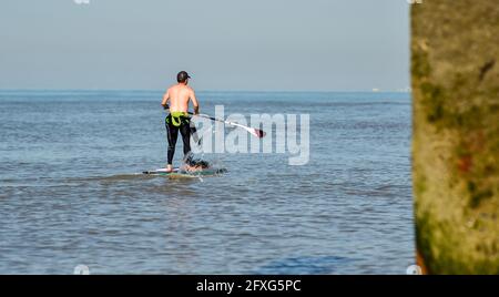 Brighton UK 27. Mai 2021 - ein Paddelboarder am frühen Morgen genießt die warme Sonne in Brighton mit einer heißeren, sonnigen Wetterprognose, die über das Feiertagswochenende in Großbritannien eintreffen wird, wobei die Temperaturen im Südosten voraussichtlich über 20 Grad erreichen werden: Credit Simon Dack / Alamy Live News Stockfoto