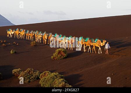Spanien. Kanarische Inseln. Lanzarote. Parque Nacional (Nationalpark