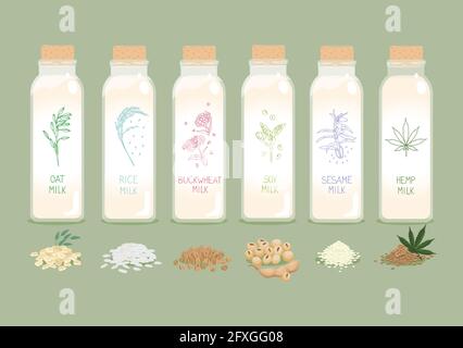 Flaschen pflanzlicher veganer Pflanzenmilch Set. Hafer, Reis, Buchweizen, Soja, Hanf, Sesam mit Samen. Vektor-Illustration von veganen, vegetarischen Produkt eines Stock Vektor