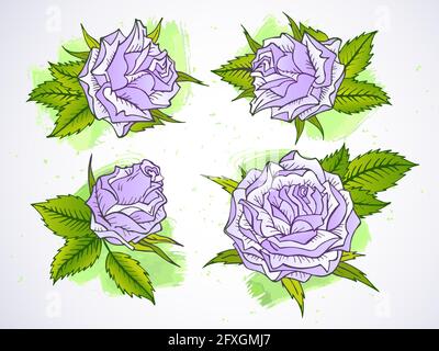 Vektor-Set von handgezeichneten Rosen und Blättern mit texturierten Aquarellelementen. In Fliederfarben. Verwendeter Gradient. Stock Vektor