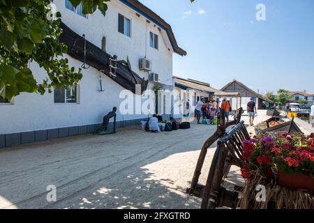 Gura Portitei Dorf, Boot mit Blumen gefüllt, Portita Halbinsel am Donaudelta, Osteuropa, Rumänien Stockfoto