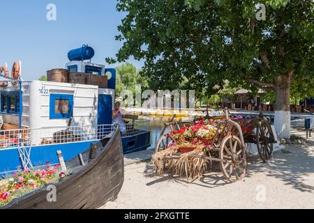 Gura Portitei Dorf, Boot mit Blumen gefüllt, Portita Halbinsel am Donaudelta, Osteuropa, Rumänien Stockfoto