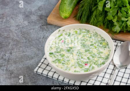 Sommerroschka aus Gurken, Fleisch, Rettich, Kräutern und Eiern mit Joghurt oder Kefir in einer Suppenschale Stockfoto