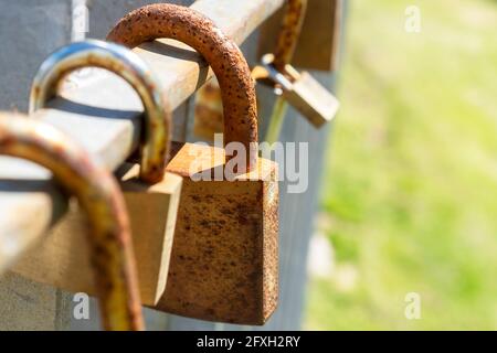 Alte rostige Eisen geschlossene Vorhängeschlösser auf einem Metallzaun. Ein Symbol für Liebe und Romantik für immer. Valentinstag-Idee. Im Freien Stockfoto