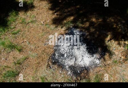 Asche, Schlacke der Feuerstelle im Wald, links hinter Nach dem Picknick in der Natur, in der Nähe Stockfoto