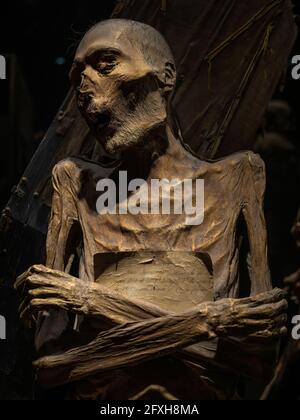 Mumifizierter Körper im Mumien-Museum von Guanajuato, der größten Sammlung natürlicher Mumien der Welt, in Guanajuato City, Mexiko. Stockfoto