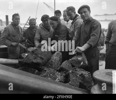 Vorbereitungen für das Segel der Willem Barendsz, 2. November 1959, Vorbereitungen, Auslaufen, Niederlande, Presseagentur des 20. Jahrhunderts, Foto, Nachrichten zum erinnern, Dokumentarfilm, historische Fotografie 1945-1990, visuelle Geschichten, Menschliche Geschichte des zwanzigsten Jahrhunderts, Momente in der Zeit festzuhalten Stockfoto