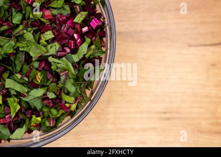 Frische, gehackte Rote-Bete-Blätter in einer Glasschüssel angeordnet. Foto aufgenommen unter künstlichem, weichem Licht. Stockfoto