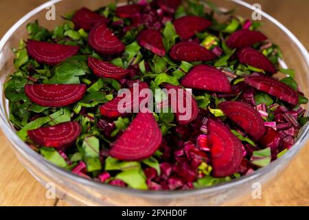 Frische, geschnittene Blätter und Rote Beete in einer Glasschüssel angeordnet. Foto aufgenommen unter künstlichem, weichem Licht. Stockfoto