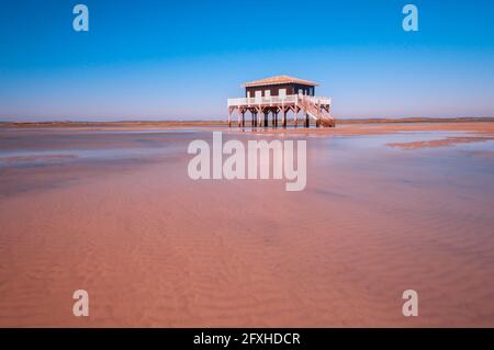 FRANKREICH. GIRONDE (33) BASSIN D'ARCACHON. ILE AUX OISEAUX (VOGELINSEL) HOLZHÜTTEN AUF PFÄHLEN, DIE TYPISCH FÜR DAS BASSIN D'ARCACHON SIND Stockfoto