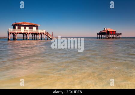 FRANKREICH. GIRONDE (33) BASSIN D'ARCACHON. ILE AUX OISEAUX (VOGELINSEL) HOLZHÜTTEN AUF PFÄHLEN, DIE TYPISCH FÜR DAS BASSIN D'ARCACHON SIND Stockfoto