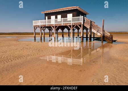 FRANKREICH. GIRONDE (33) BASSIN D'ARCACHON. ILE AUX OISEAUX (VOGELINSEL) HOLZHÜTTEN AUF PFÄHLEN, DIE TYPISCH FÜR DAS BASSIN D'ARCACHON SIND Stockfoto