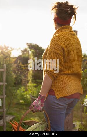 Frau erntet frisches Gemüse im sonnigen Sommergarten Stockfoto