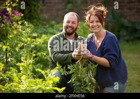 Portrait glückliches Paar, das frisches Gemüse im sonnigen Garten erntet Stockfoto