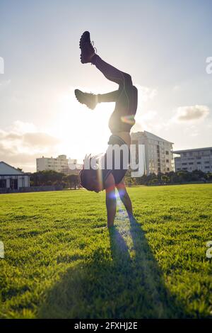 Sorgloser junger Mann, der im sonnigen Parkgras Handstand macht Stockfoto