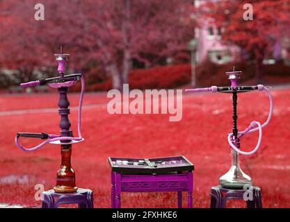 Der Kopf einer Shisha, Wasserpfeife oder Shisha mit glühender Kohle im Garten im Sommersonnenschein Deutschland, Kopf, Wasserpfeife, Rauchen, Arabeske Stockfoto