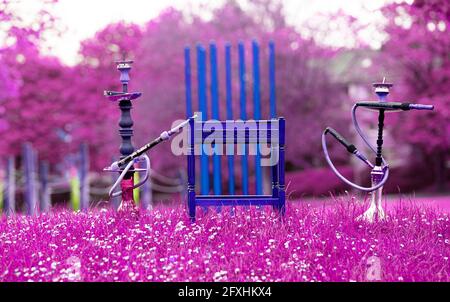 Der Kopf einer Shisha, Wasserpfeife oder Shisha mit glühender Kohle im Garten im Sommersonnenschein Deutschland, Kopf, Wasserpfeife, Rauchen, Arabeske Stockfoto