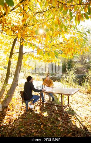 Geschäftsleute, die am Tisch in einem sonnigen, idyllischen Herbstpark arbeiten Stockfoto