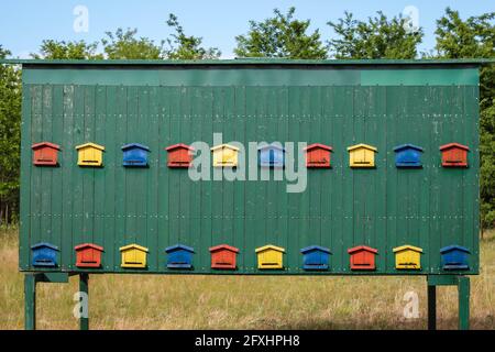 Niedliche bunte Bienenhaus Holzbehälter in der Vojvodina in Serbien Stockfoto