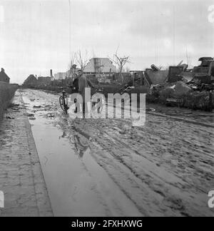 Wieringermeerpolder, 8. Dezember 1945, Niederlande, Presseagentur des 20. Jahrhunderts, Foto, News to remember, Dokumentarfilm, historische Fotografie 1945-1990, visuelle Geschichten, Menschliche Geschichte des zwanzigsten Jahrhunderts, Momente in der Zeit festzuhalten Stockfoto