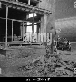 Wieringermeerpolder, 8. Dezember 1945, Niederlande, Presseagentur des 20. Jahrhunderts, Foto, News to remember, Dokumentarfilm, historische Fotografie 1945-1990, visuelle Geschichten, Menschliche Geschichte des zwanzigsten Jahrhunderts, Momente in der Zeit festzuhalten Stockfoto