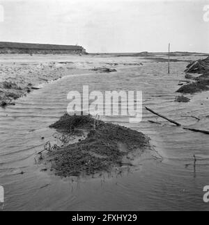 Wieringermeerpolder, 8. Dezember 1945, Niederlande, Presseagentur des 20. Jahrhunderts, Foto, News to remember, Dokumentarfilm, historische Fotografie 1945-1990, visuelle Geschichten, Menschliche Geschichte des zwanzigsten Jahrhunderts, Momente in der Zeit festzuhalten Stockfoto