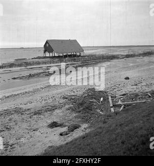 Wieringermeerpolder, 8. Dezember 1945, Niederlande, Presseagentur des 20. Jahrhunderts, Foto, News to remember, Dokumentarfilm, historische Fotografie 1945-1990, visuelle Geschichten, Menschliche Geschichte des zwanzigsten Jahrhunderts, Momente in der Zeit festzuhalten Stockfoto