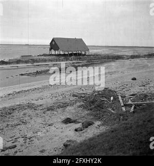 Wieringermeerpolder, 8. Dezember 1945, Niederlande, Presseagentur des 20. Jahrhunderts, Foto, News to remember, Dokumentarfilm, historische Fotografie 1945-1990, visuelle Geschichten, Menschliche Geschichte des zwanzigsten Jahrhunderts, Momente in der Zeit festzuhalten Stockfoto