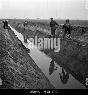 Wieringermeerpolder, 8. Dezember 1945, Niederlande, Presseagentur des 20. Jahrhunderts, Foto, News to remember, Dokumentarfilm, historische Fotografie 1945-1990, visuelle Geschichten, Menschliche Geschichte des zwanzigsten Jahrhunderts, Momente in der Zeit festzuhalten Stockfoto