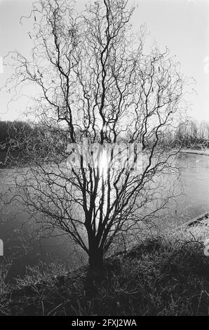 Winterlandschaft, 19. Dezember 1978, Landschaften, Niederlande, 20. Jahrhundert Presseagentur Foto, Nachrichten zu erinnern, Dokumentarfilm, historische Fotografie 1945-1990, visuelle Geschichten, Menschliche Geschichte des zwanzigsten Jahrhunderts, Momente in der Zeit festzuhalten Stockfoto