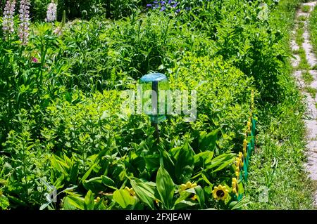 Im Sommer trocknet ein sauberes Glas im Garten Stockfoto