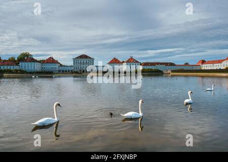 Schwan im Teich bei Schloss Nymphenburg. München, Bayern, Deutschland Stockfoto