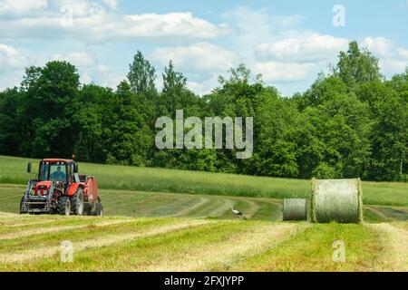 Landwirt, der auf einem großen Feld an einem Traktor arbeitet Heurollen für Vieh vor dem Hintergrund eines Sommer ländliche Landschaft Stockfoto