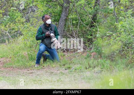 , Vogelfotograf im Jamaica Bay Wildlife Refugium trägt Maske Während der Covid-Pandemie Stockfoto