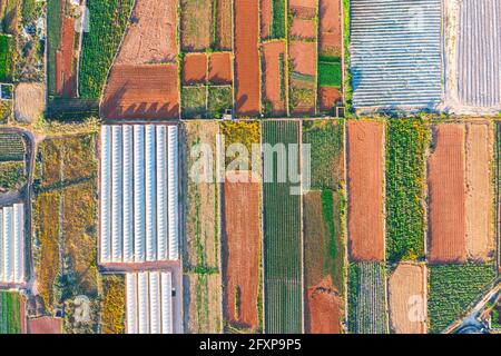 Luftaufnahme der verschiedenen Felder von Pflanzen und Gewächshäusern. Konzept des agro-industriellen Komplexes Stockfoto