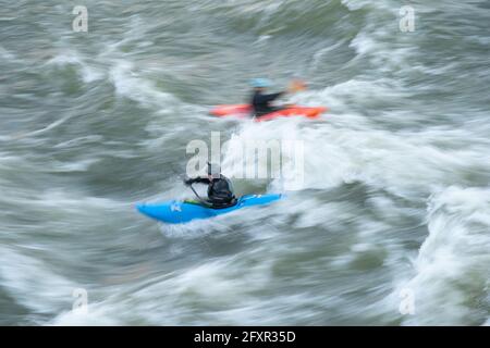 Ein Kajakfahrer surft in seinem Wildwasserboot, Virginia, USA, Nordamerika, große stehende Wellen des Potomac River in der Nähe der Great Falls Stockfoto