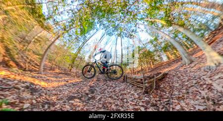 Ein Mountainbiker reitet von einem hausgemachten Sprung in den Wald in der Nähe von Cabin John, Maryland, Vereinigte Staaten von Amerika, Nordamerika Stockfoto