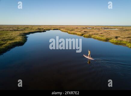 Stand Up Paddle Boarder paddelt durch einen Salzmarsch in der Bucht von Kesapeake in der Nähe von Hampton, Virginia, USA, Nordamerika Stockfoto